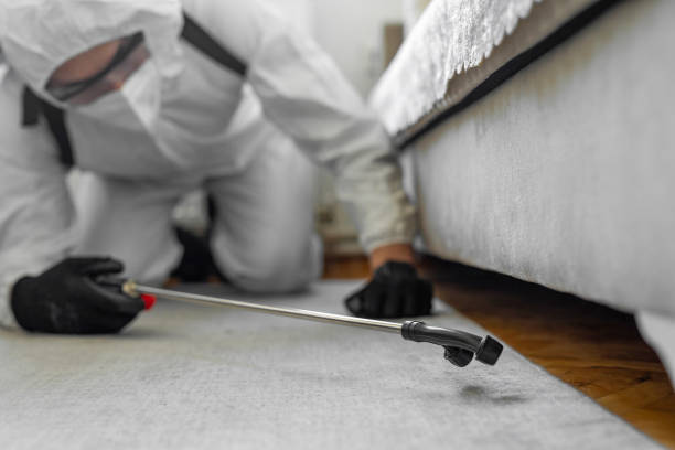 Professional Pest Control technician working in Cleburne County County, AL